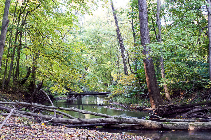 LAPORTE COUNTY TRAILS